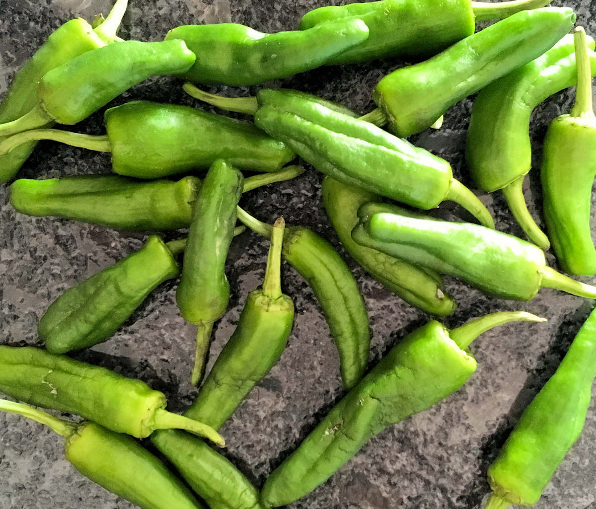 Padron Peppers | Recipe | Cuisine Fiend